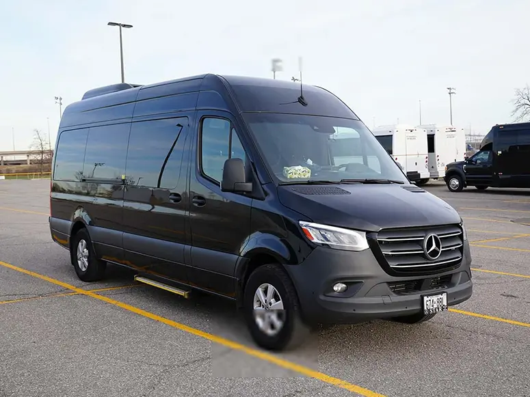 Niagara Falls Limo Tour